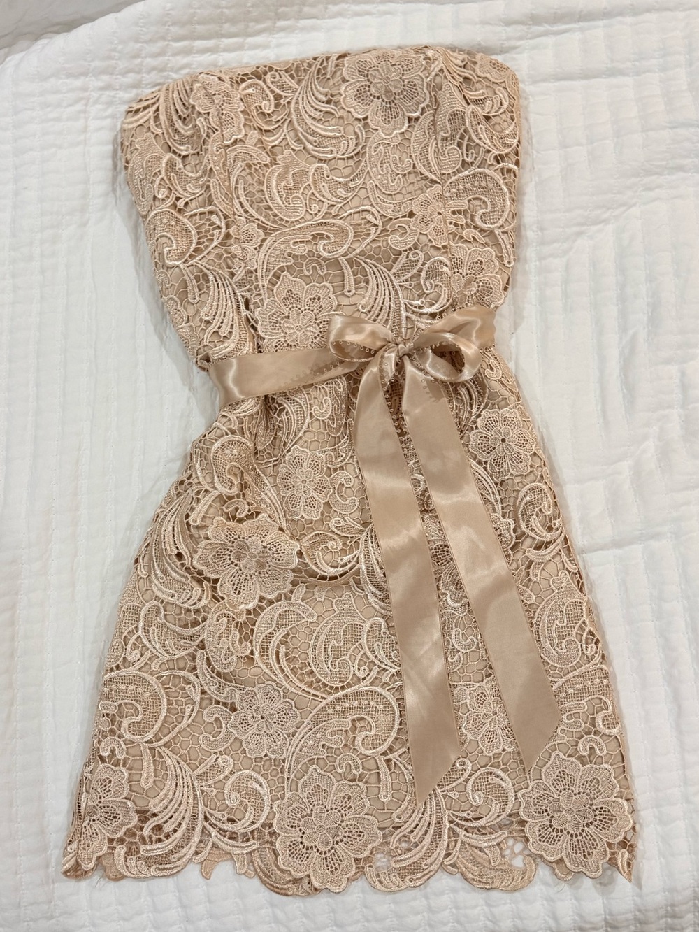Adrianna Papell Strapless Floral Lace Dress in Nude